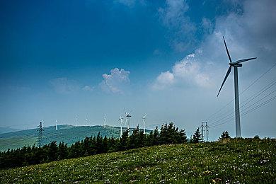 3DM速报：《全战战锤3》Steam褒贬不一，赛博朋克2077没在做地铁